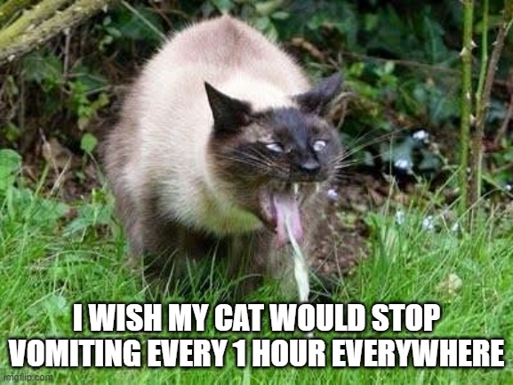 Cat Barfing | I WISH MY CAT WOULD STOP VOMITING EVERY 1 HOUR EVERYWHERE | image tagged in cat barfing | made w/ Imgflip meme maker