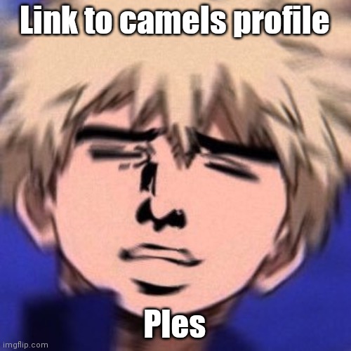 bakuhoe | Link to camels profile; Ples | image tagged in bakuhoe | made w/ Imgflip meme maker