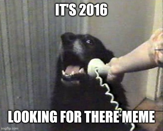 hello this is dog | IT'S 2016 LOOKING FOR THERE MEME | image tagged in hello this is dog | made w/ Imgflip meme maker