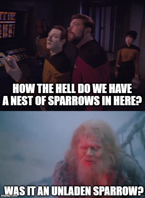 A Sparrow? | HOW THE HELL DO WE HAVE A NEST OF SPARROWS IN HERE? WAS IT AN UNLADEN SPARROW? | image tagged in star trek ng,what is your name | made w/ Imgflip meme maker