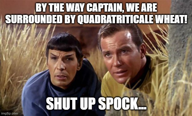 Smart Ass Spock | BY THE WAY CAPTAIN, WE ARE SURROUNDED BY QUADRATRITICALE WHEAT! SHUT UP SPOCK... | image tagged in mr spock | made w/ Imgflip meme maker