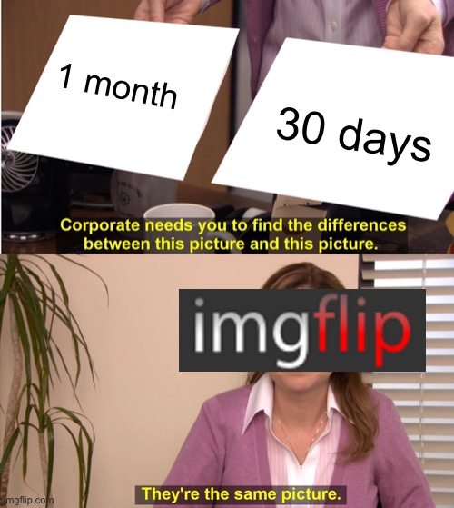Srsly a month is not exactly 30 days | 1 month; 30 days | image tagged in memes,they're the same picture,imgflip,month,days | made w/ Imgflip meme maker