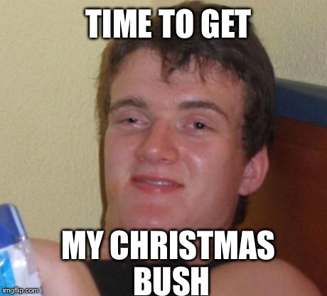 10 Guy Meme | TIME TO GET MY CHRISTMAS BUSH | image tagged in memes,10 guy | made w/ Imgflip meme maker