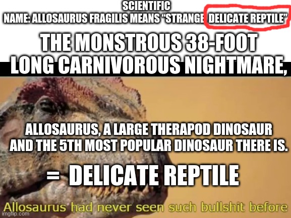 Allosaurus delicate | SCIENTIFIC NAME: ALLOSAURUS FRAGILIS MEANS “STRANGE, DELICATE REPTILE”; THE MONSTROUS 38-FOOT LONG CARNIVOROUS NIGHTMARE, ALLOSAURUS, A LARGE THERAPOD DINOSAUR AND THE 5TH MOST POPULAR DINOSAUR THERE IS. =  DELICATE REPTILE | image tagged in funny | made w/ Imgflip meme maker