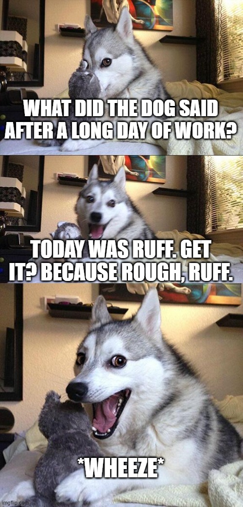 LOOOOOOOOOOOOOOOOOOOOOOOOOOOOOOOOOOOOOOOOOOL | WHAT DID THE DOG SAID AFTER A LONG DAY OF WORK? TODAY WAS RUFF. GET IT? BECAUSE ROUGH, RUFF. *WHEEZE* | image tagged in memes,bad pun dog | made w/ Imgflip meme maker