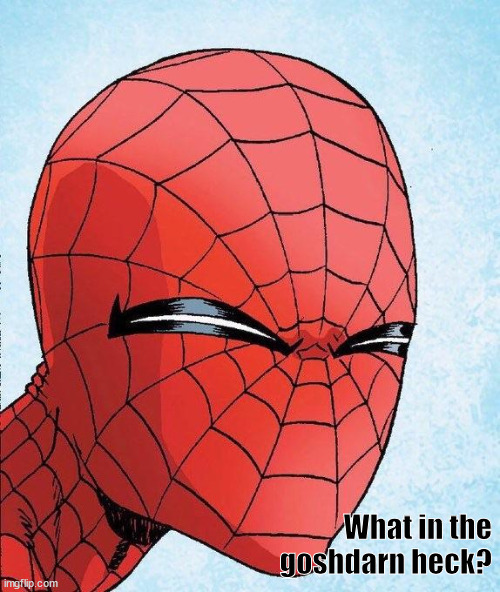 What in the goshdarn heck? | What in the goshdarn heck? | image tagged in spiderman | made w/ Imgflip meme maker