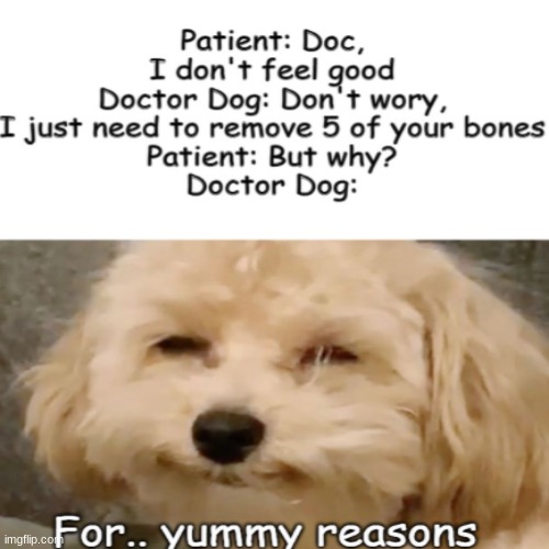 DrDog | image tagged in cute,puppy,yummy reasons | made w/ Imgflip meme maker
