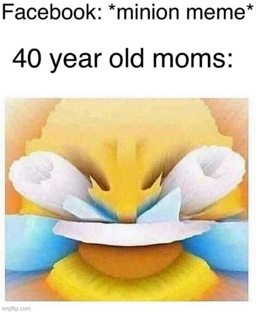 40 Year old moms be like... | image tagged in repost,funny | made w/ Imgflip meme maker