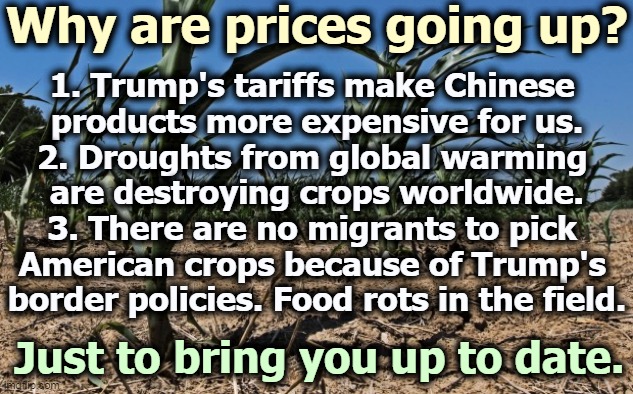 Don't make excuses for Trump. He had no frickin' idea what he was doing. | Why are prices going up? 1. Trump's tariffs make Chinese 
products more expensive for us.
2. Droughts from global warming 
are destroying crops worldwide.
3. There are no migrants to pick 
American crops because of Trump's 
border policies. Food rots in the field. Just to bring you up to date. | image tagged in prices,inflation,tariffs,china,global warming,migrants | made w/ Imgflip meme maker