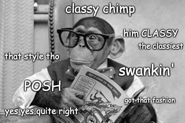 classy chimp to brighten someone's day or ruin it | classy chimp; him CLASSY; the classiest; that style tho; swankin'; POSH; got that fashion; yes yes quite right | image tagged in chimp,monkey,class,good,funny,idk | made w/ Imgflip meme maker