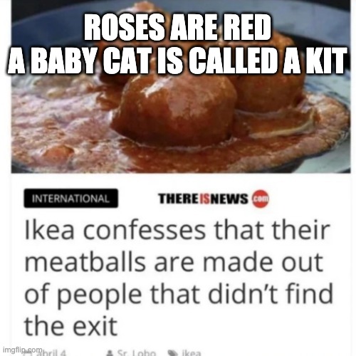 so thats why they taste so good | ROSES ARE RED
A BABY CAT IS CALLED A KIT | image tagged in ikea,yummy,roses are red | made w/ Imgflip meme maker
