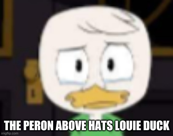 THE PERON ABOVE HATS LOUIE DUCK | made w/ Imgflip meme maker