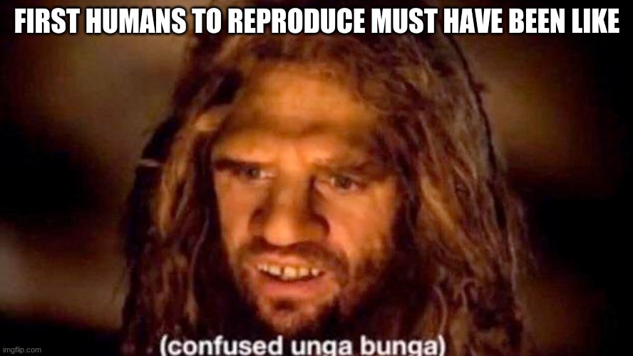 confused ungabunga | FIRST HUMANS TO REPRODUCE MUST HAVE BEEN LIKE | image tagged in confused screaming,confused unga bunga | made w/ Imgflip meme maker