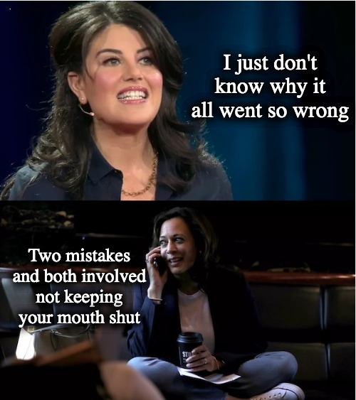 Where it Went Wrong for Monica | I just don't know why it all went so wrong; Two mistakes and both involved not keeping your mouth shut | image tagged in kamala harris,monica lewinsky | made w/ Imgflip meme maker