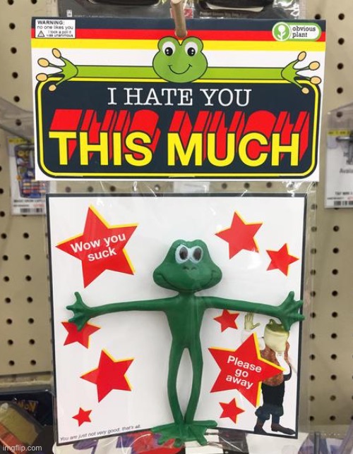 I hate you THIS much | image tagged in i hate you this much | made w/ Imgflip meme maker