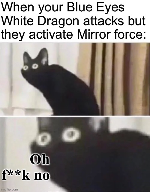Oh No Black Cat | When your Blue Eyes White Dragon attacks but they activate Mirror force:; Oh f**k no | image tagged in oh no black cat,yu-gi-oh | made w/ Imgflip meme maker