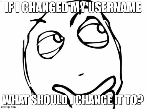 Question Rage Face | IF I CHANGED MY USERNAME; WHAT SHOULD I CHANGE IT TO? | image tagged in memes,question rage face | made w/ Imgflip meme maker