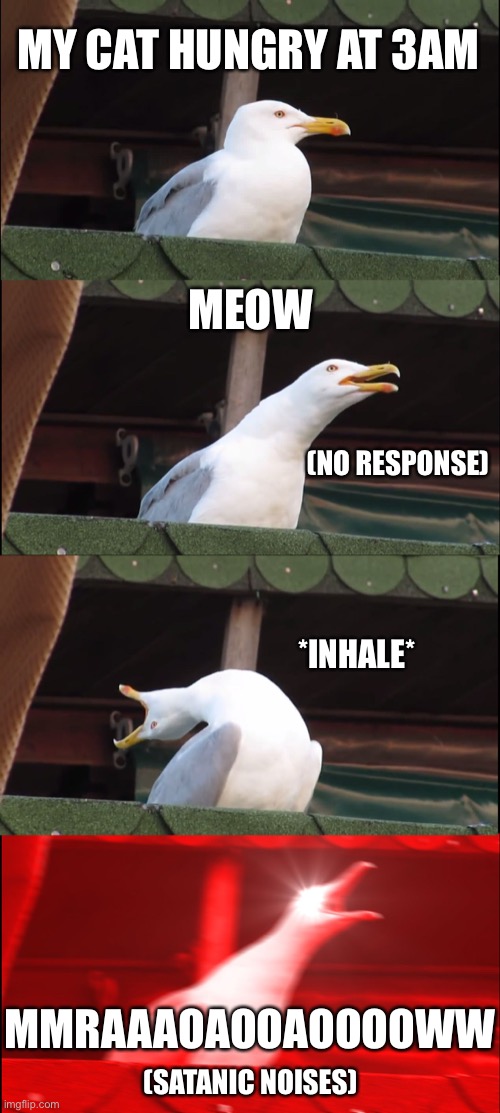Inhaling Seagull | MY CAT HUNGRY AT 3AM; MEOW; (NO RESPONSE); *INHALE*; MMRAAAOAOOAOOOOWW; (SATANIC NOISES) | image tagged in memes,inhaling seagull,cats,cat memes,cat meme | made w/ Imgflip meme maker