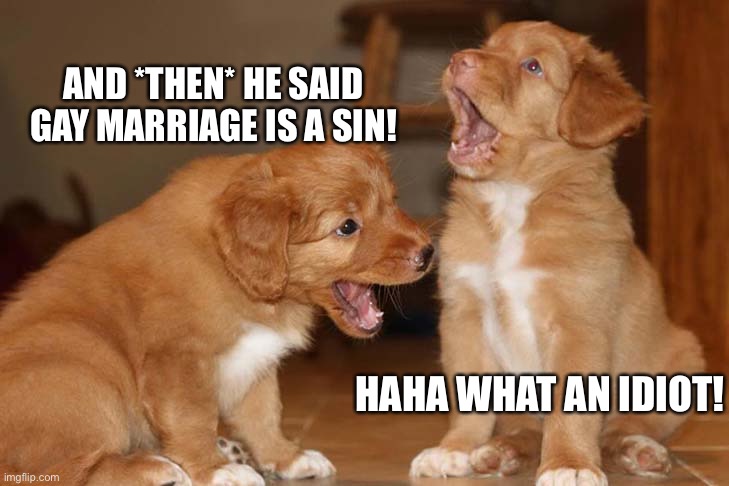 Gossiping tollers | AND *THEN* HE SAID GAY MARRIAGE IS A SIN! HAHA WHAT AN IDIOT! | image tagged in gossiping tollers,gay marriage,lgbtq,lgbt,homophobe,homophobia | made w/ Imgflip meme maker