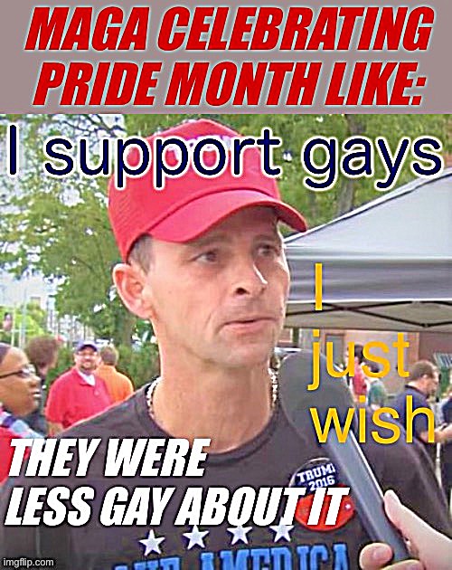 Put “allies” like this on the wall. | image tagged in gay pride,pride month,maga,conservative logic,homophobic,homophobe | made w/ Imgflip meme maker