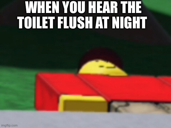 Im scared. | WHEN YOU HEAR THE TOILET FLUSH AT NIGHT | image tagged in poop,shut up and take my money fry | made w/ Imgflip meme maker