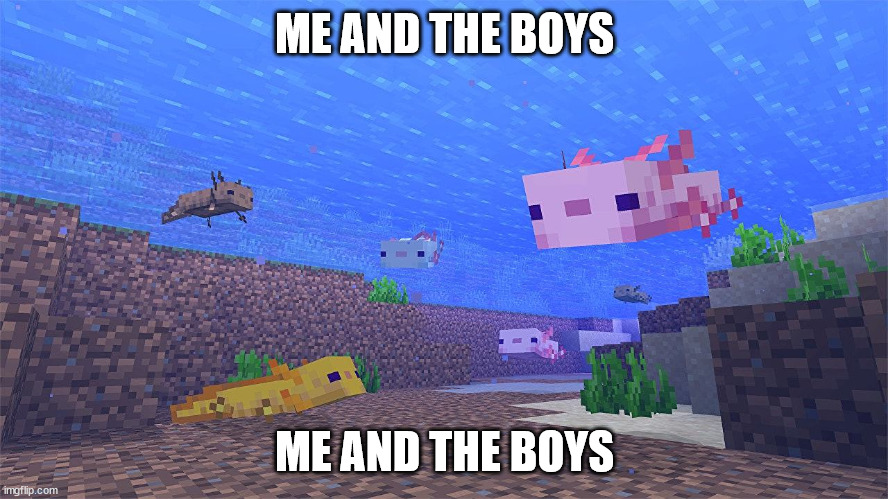 Minecraft 1.17 is awesome | ME AND THE BOYS; ME AND THE BOYS | image tagged in minecraft | made w/ Imgflip meme maker