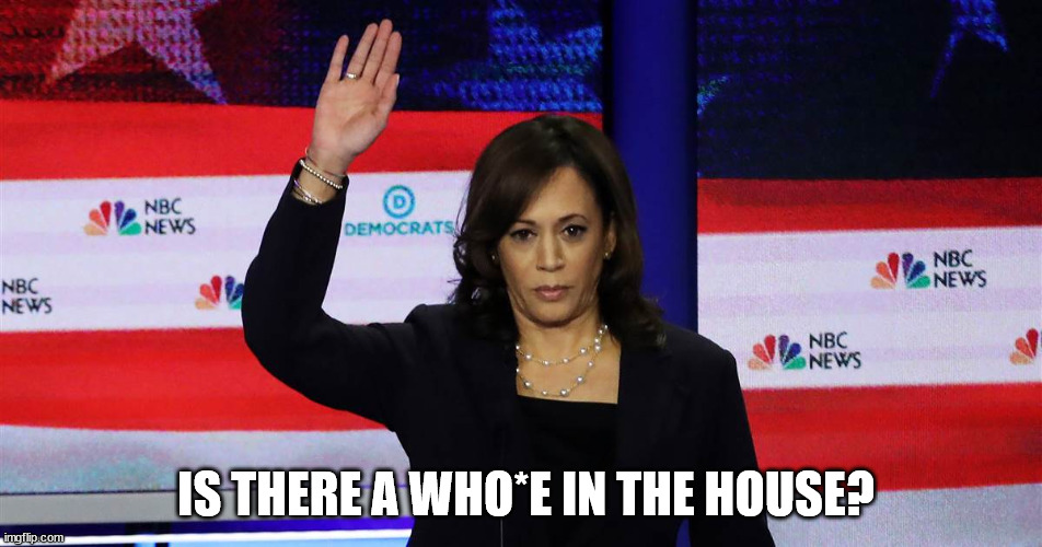 Skanky Camel Toes | IS THERE A WHO*E IN THE HOUSE? | image tagged in kamala harris | made w/ Imgflip meme maker