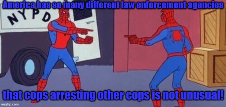 City police, sheriffs, state troopers, highway patrol, US marshals, FBI, ICE, DEA, TSA, game wardens, park rangers... | America has so many different law enforcement agencies; that cops arresting other cops is not unusual! | image tagged in spiderman pointing at spiderman,police state,too many,fascists,undercover,x x everywhere | made w/ Imgflip meme maker