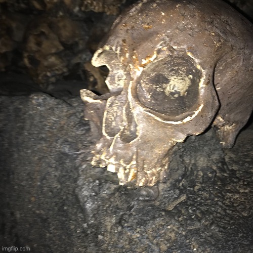 Image of a skull I took at universal on the kong ride | made w/ Imgflip meme maker
