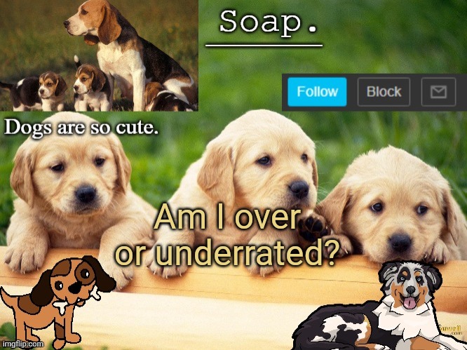 Soap doggo temp | Am I over or underrated? | image tagged in soap doggo temp ty yachi | made w/ Imgflip meme maker