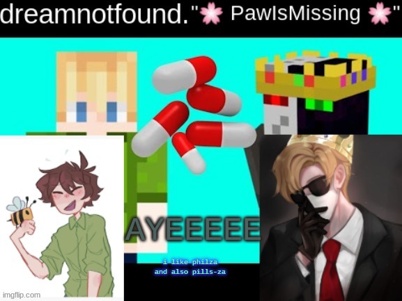 AYEEEEE; i like philza and also pills-za | image tagged in p i l l s | made w/ Imgflip meme maker