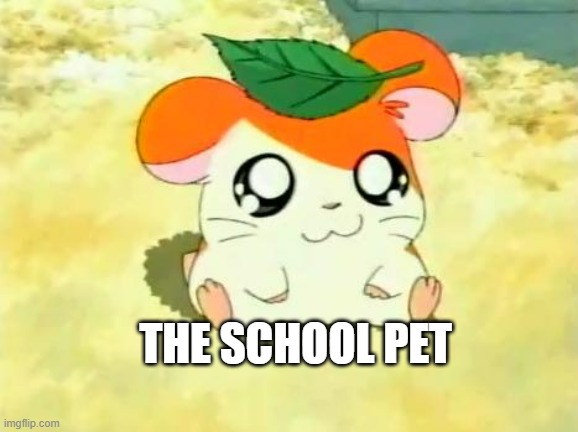 School pets are always cute | THE SCHOOL PET | image tagged in memes,hamtaro,school,pet | made w/ Imgflip meme maker