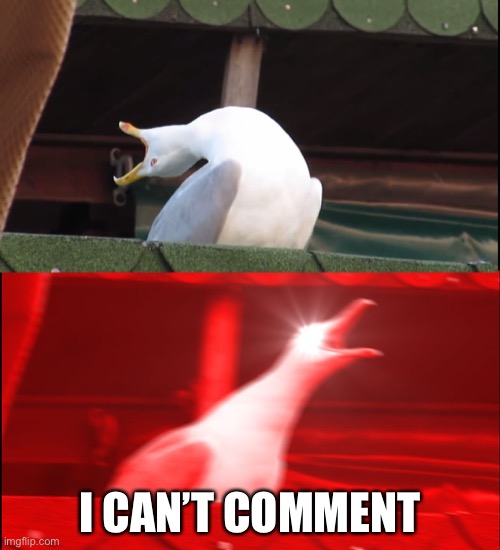 Screaming bird | I CAN’T COMMENT | image tagged in screaming bird | made w/ Imgflip meme maker