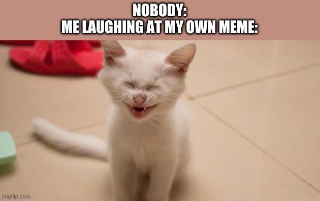 Cat Laughing | NOBODY:
ME LAUGHING AT MY OWN MEME: | image tagged in cat laughing | made w/ Imgflip meme maker