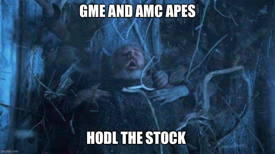 Hold Door Hodor | GME AND AMC APES; HODL THE STOCK | image tagged in hold door hodor | made w/ Imgflip meme maker