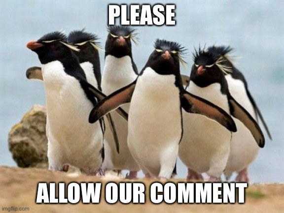 Penguin Gang Meme | PLEASE ALLOW OUR COMMENT | image tagged in memes,penguin gang | made w/ Imgflip meme maker