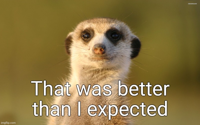 Went better than expected meerkat | That was better than I expected | image tagged in went better than expected meerkat | made w/ Imgflip meme maker