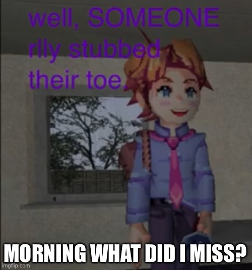 Well, someone really stubbed their toe | MORNING WHAT DID I MISS? | image tagged in well someone really stubbed their toe | made w/ Imgflip meme maker