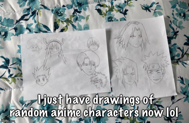 And no- I’m not coloring them | I just have drawings of random anime characters now lol | made w/ Imgflip meme maker