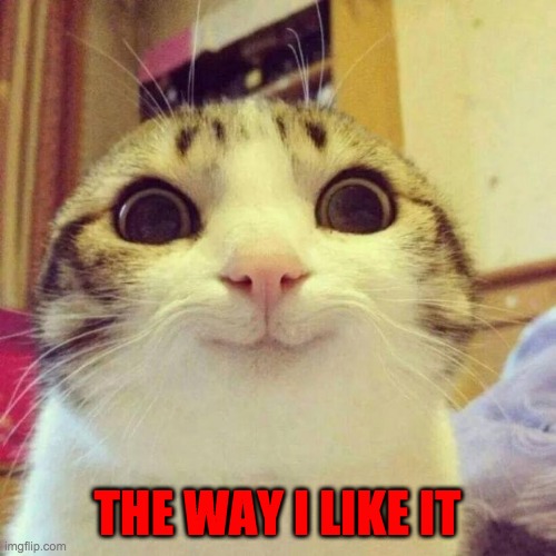Smiling Cat Meme | THE WAY I LIKE IT | image tagged in memes,smiling cat | made w/ Imgflip meme maker