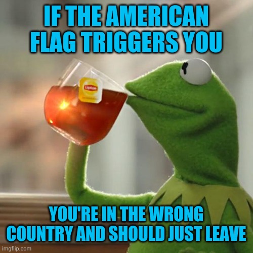 But That's None Of My Business | IF THE AMERICAN FLAG TRIGGERS YOU; YOU'RE IN THE WRONG COUNTRY AND SHOULD JUST LEAVE | image tagged in memes,but that's none of my business,kermit the frog | made w/ Imgflip meme maker