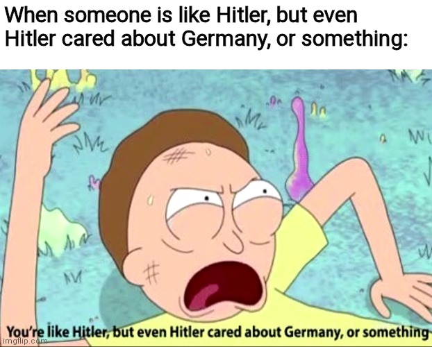 You're like Hitler | When someone is like Hitler, but even Hitler cared about Germany, or something: | image tagged in you're like hitler | made w/ Imgflip meme maker