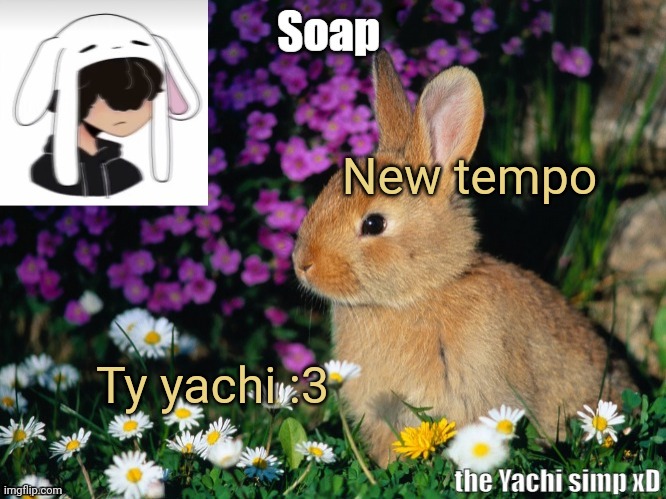 New tempo; Ty yachi :3 | image tagged in soap bunny temp ty yachi 3 | made w/ Imgflip meme maker