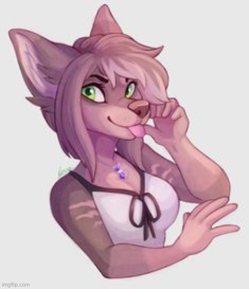 Not mine. Super cool. Low key want to be a mod for the summer. | image tagged in furry | made w/ Imgflip meme maker