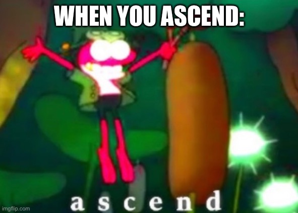 Sprig Ascends | WHEN YOU ASCEND: | image tagged in sprig ascends | made w/ Imgflip meme maker