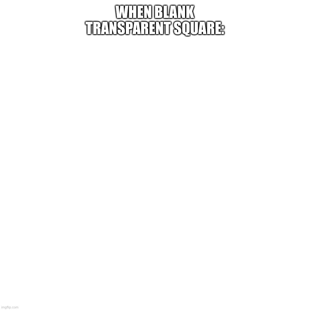 When the | WHEN BLANK TRANSPARENT SQUARE: | image tagged in memes,blank transparent square | made w/ Imgflip meme maker