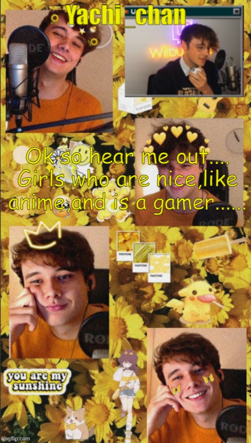 Yachi's wilbur temp <3 | Ok so hear me out....
Girls who are nice,like anime,and is a gamer...... | image tagged in yachi's wilbur temp 3 | made w/ Imgflip meme maker