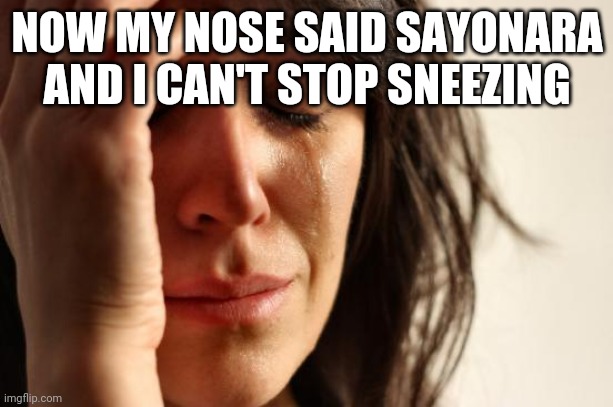 First World Problems Meme | NOW MY NOSE SAID SAYONARA AND I CAN'T STOP SNEEZING | image tagged in memes,first world problems | made w/ Imgflip meme maker