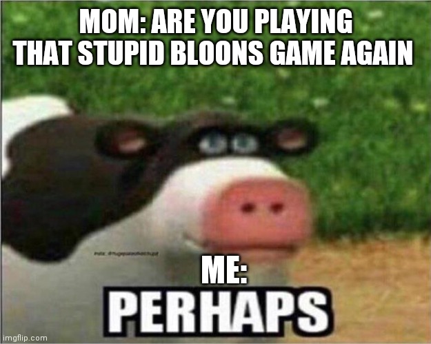 Perhaps Cow | ME:; MOM: ARE YOU PLAYING THAT STUPID BLOONS GAME AGAIN | image tagged in perhaps cow | made w/ Imgflip meme maker
