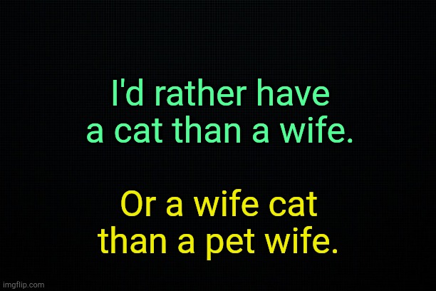 . . | I'd rather have a cat than a wife. Or a wife cat than a pet wife. | image tagged in black | made w/ Imgflip meme maker